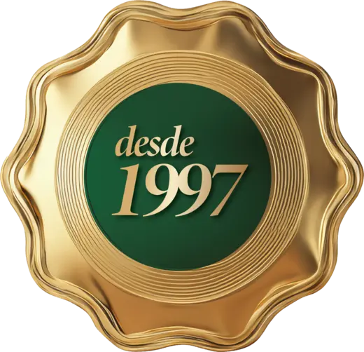Virtual Contábil — desde 1997